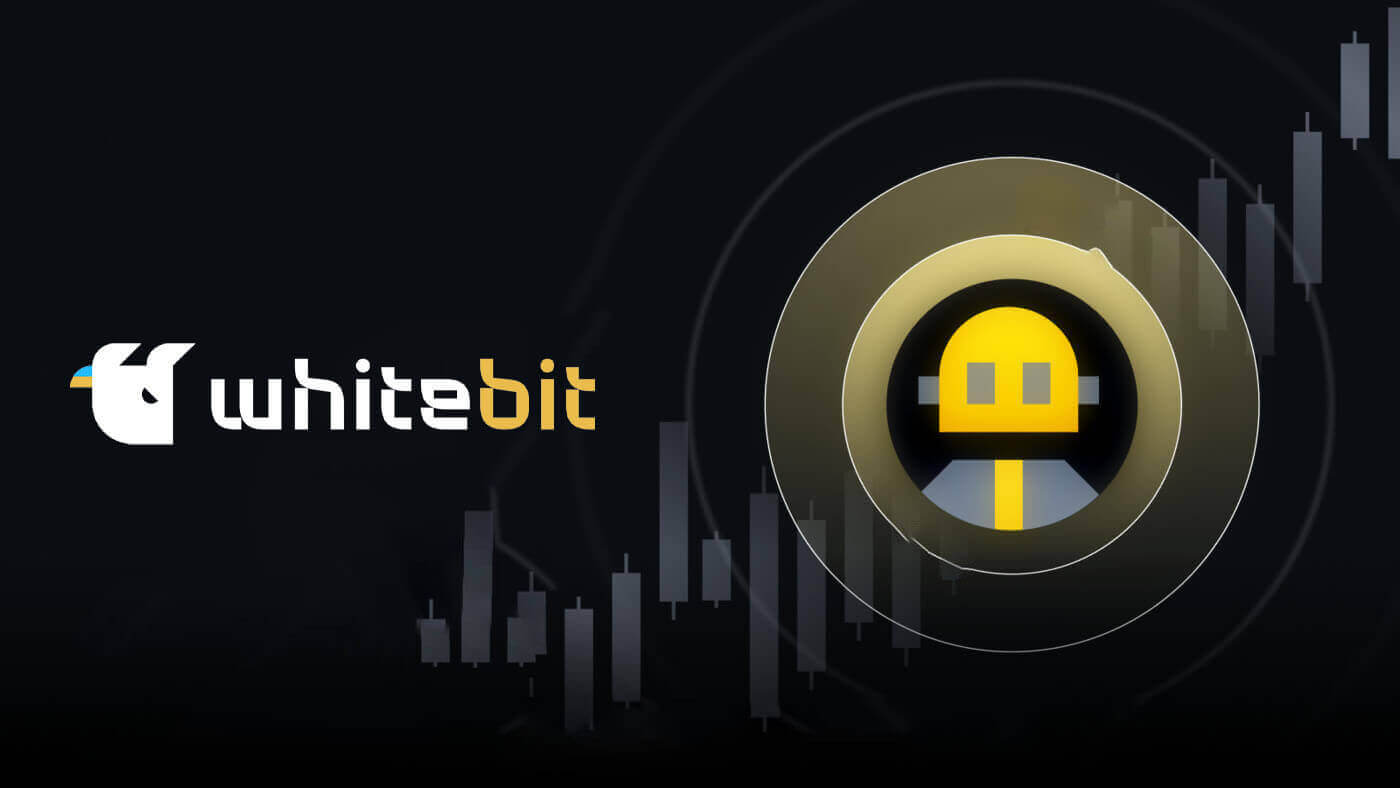 How to Contact WhiteBIT Support